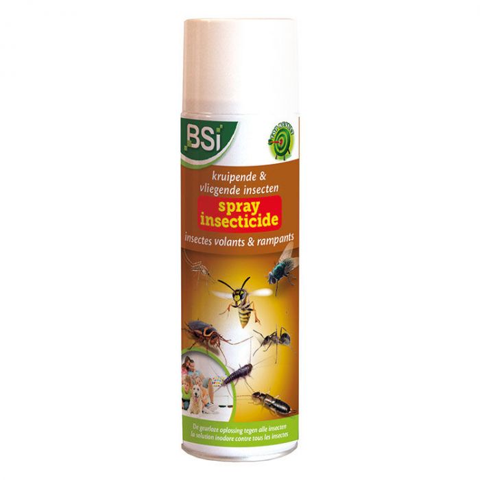 SPRAY INSECTICIDE - INSECTES VOLANTS & RAMPANTS - 500 ML